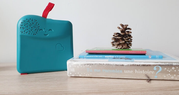 avis liseuse conteuse bookinou